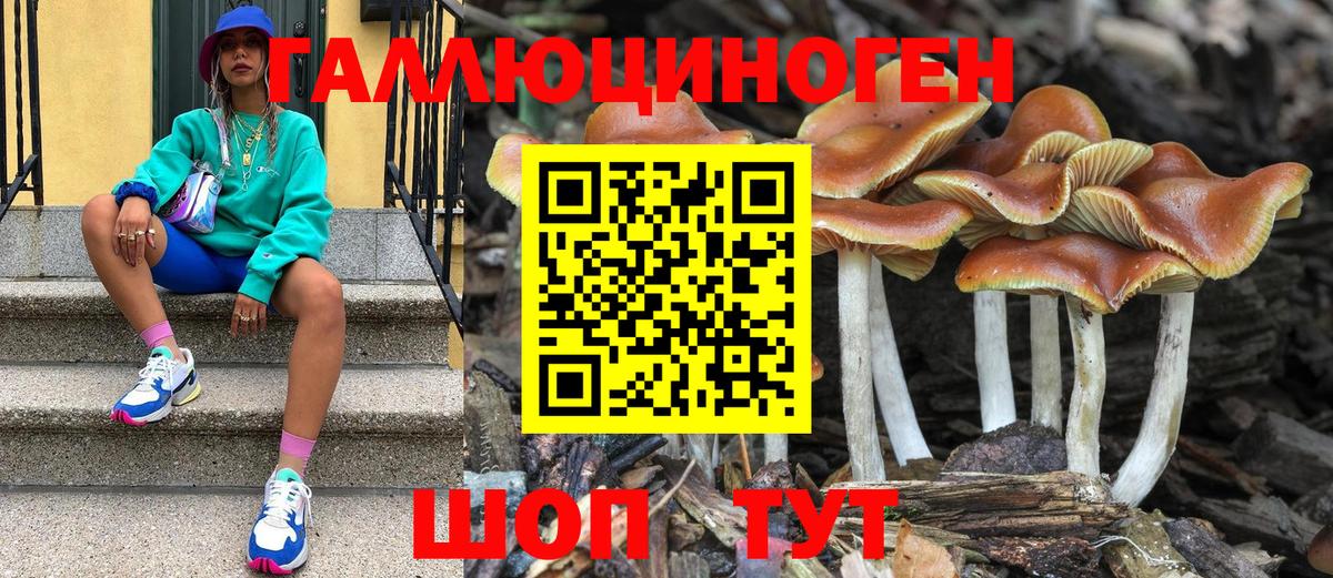 Галлюциногенные грибы MAGIC MUSHROOMS  Галлюциногенные грибы Cubensis  Балашов  Вход с VPN 